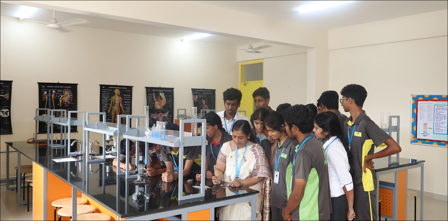 Chrysalis High, Gunjur Banner Image 4